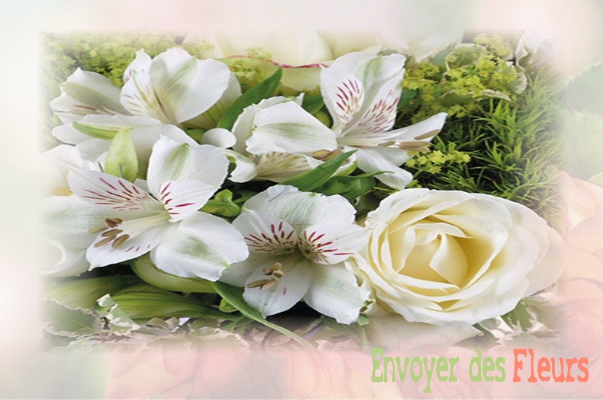 envoyer des fleurs à à SAINT-JEAN-LES-DEUX-JUMEAUX